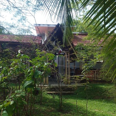 Home In The Island Tangalle Eksteriør billede