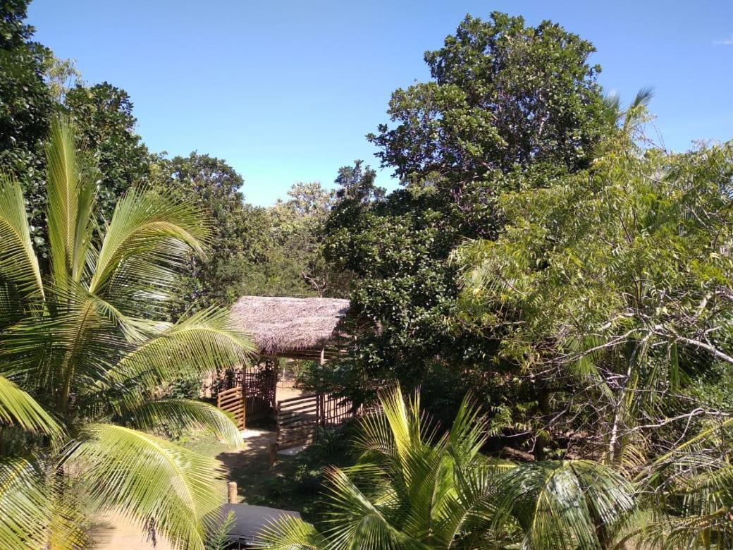 Home In The Island Tangalle Eksteriør billede