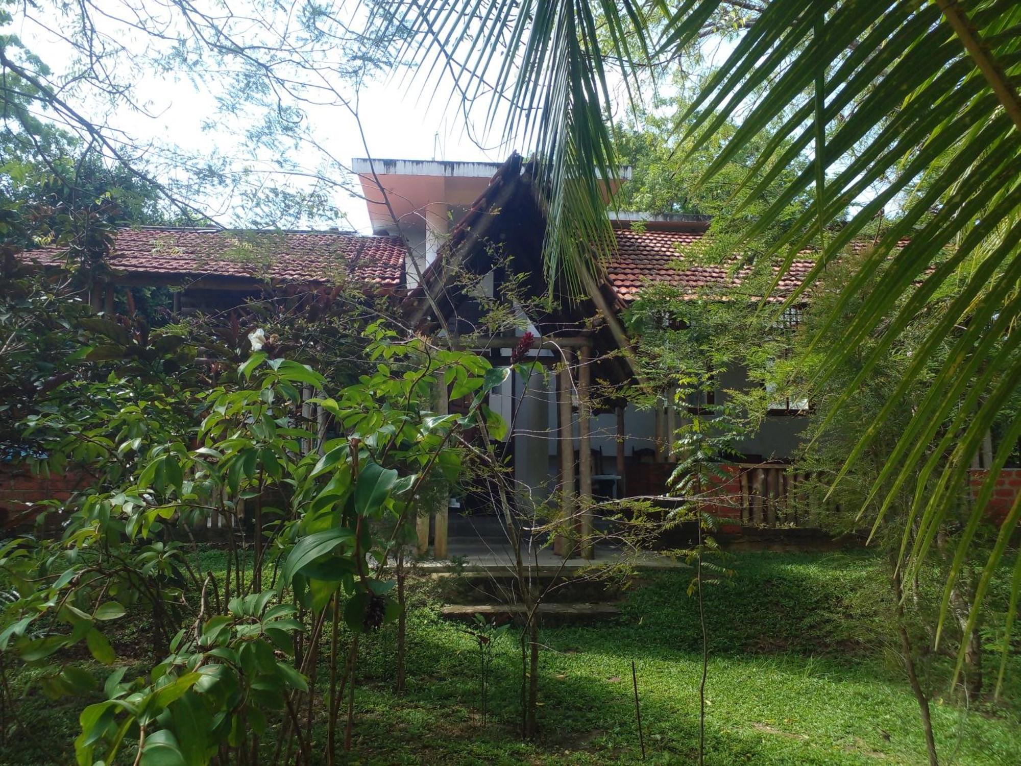 Home In The Island Tangalle Eksteriør billede