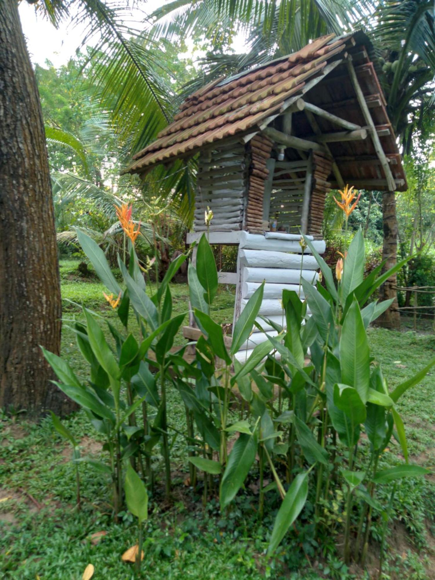 Home In The Island Tangalle Eksteriør billede