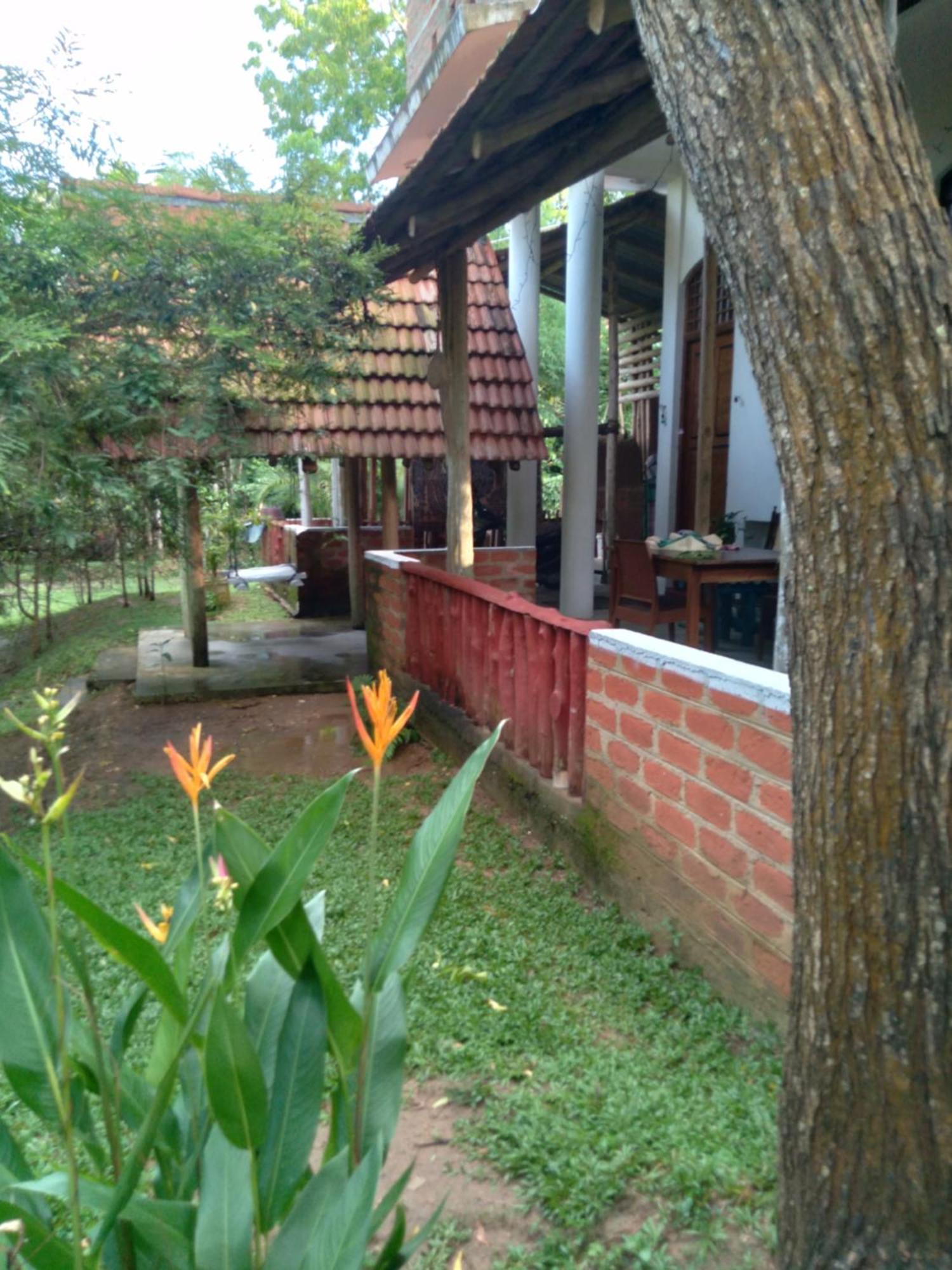 Home In The Island Tangalle Eksteriør billede