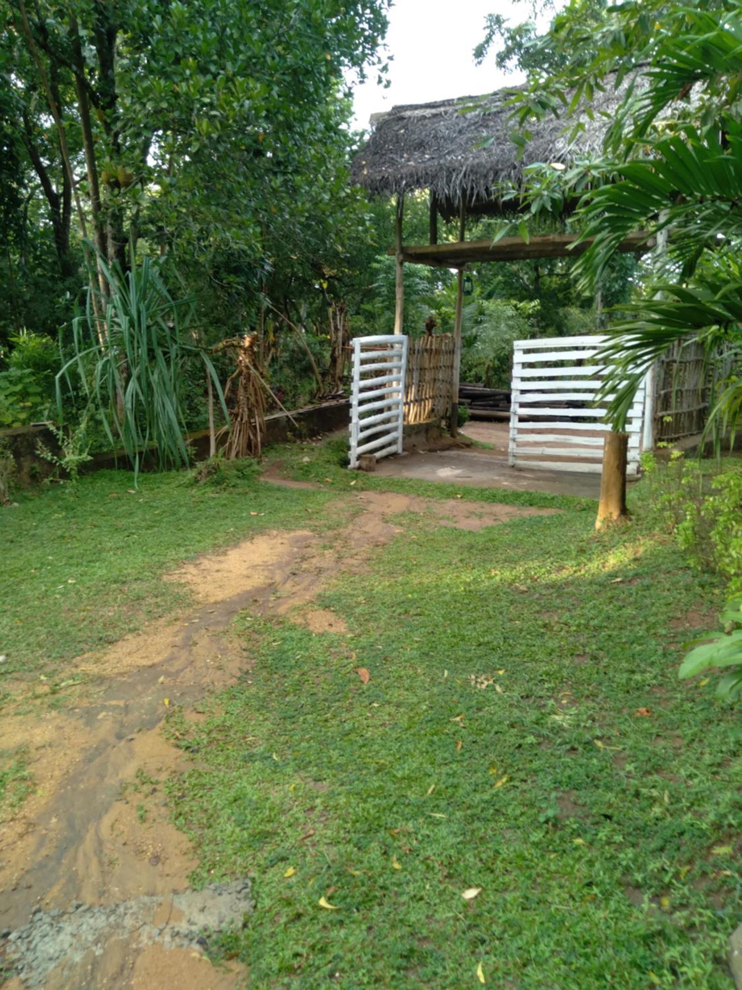 Home In The Island Tangalle Eksteriør billede